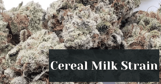 Cereal Milk Strain