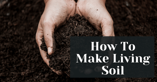 How To Make Living Soil