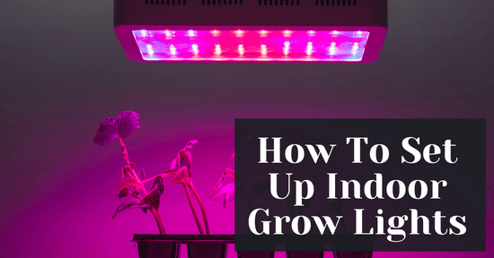 How To Set Up Indoor Grow Lights