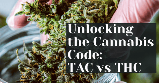 Unlocking the Cannabis Code: TAC vs THC