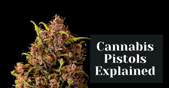 Cannabis Pistols Explained